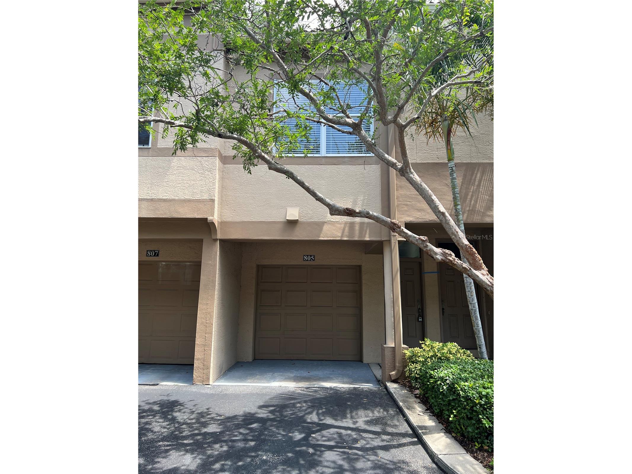 805 Normandy Trace Road Tampa FL 33602 TB8471057 image5