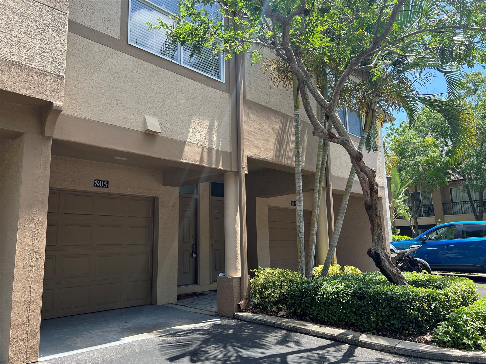 805 Normandy Trace Road Tampa FL 33602 TB8471057 image6