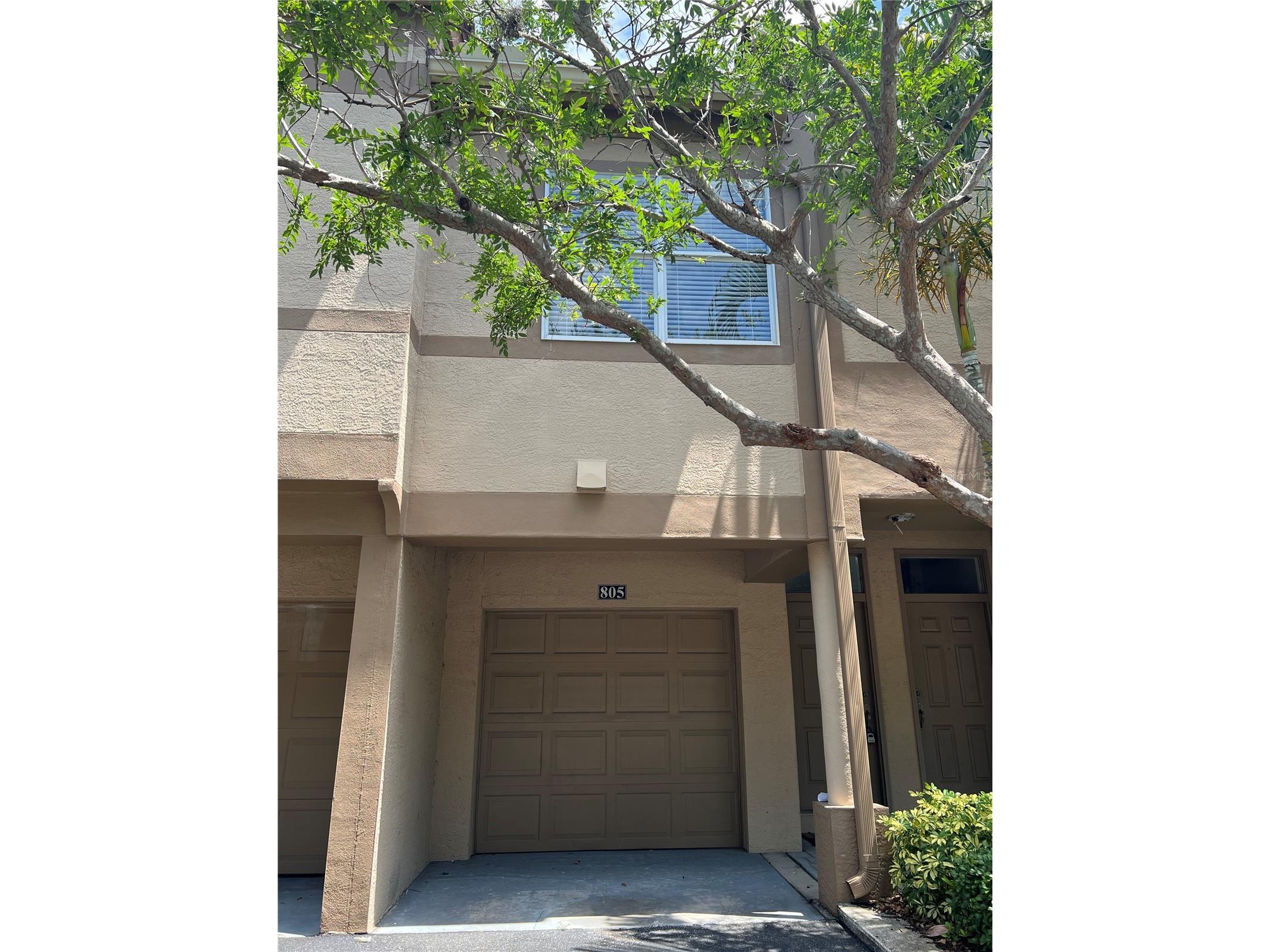 805 Normandy Trace Road Tampa FL 33602 TB8471057 image7