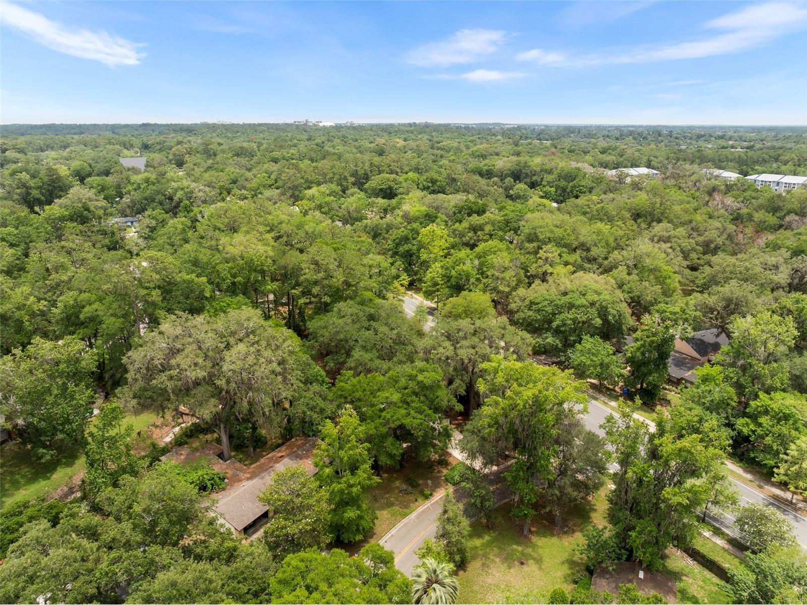 805 NW 39th Drive Gainesville FL 32605 FC319041 image33