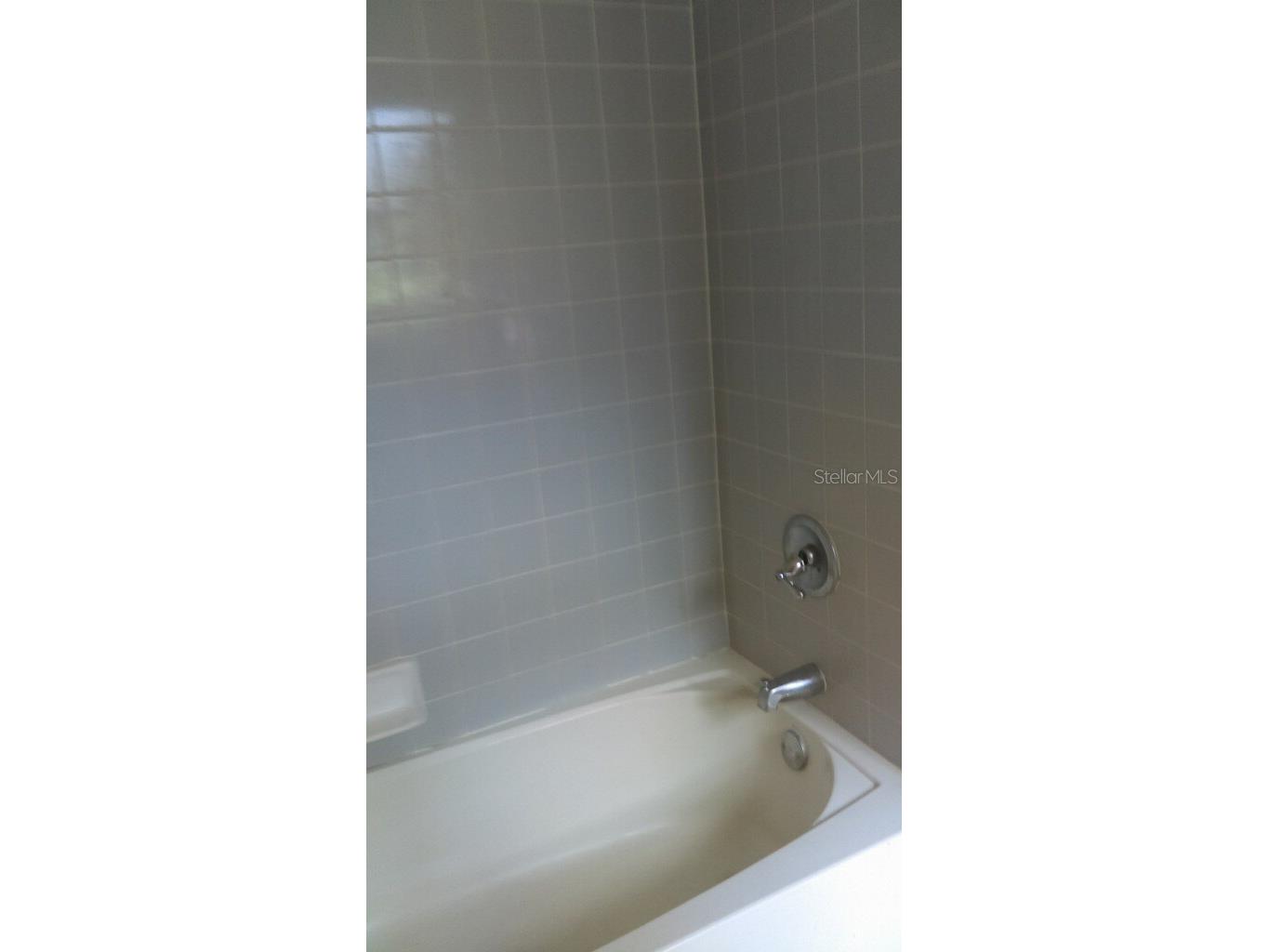 805 Peters Street Wildwood FL 34785 O6397856 image8