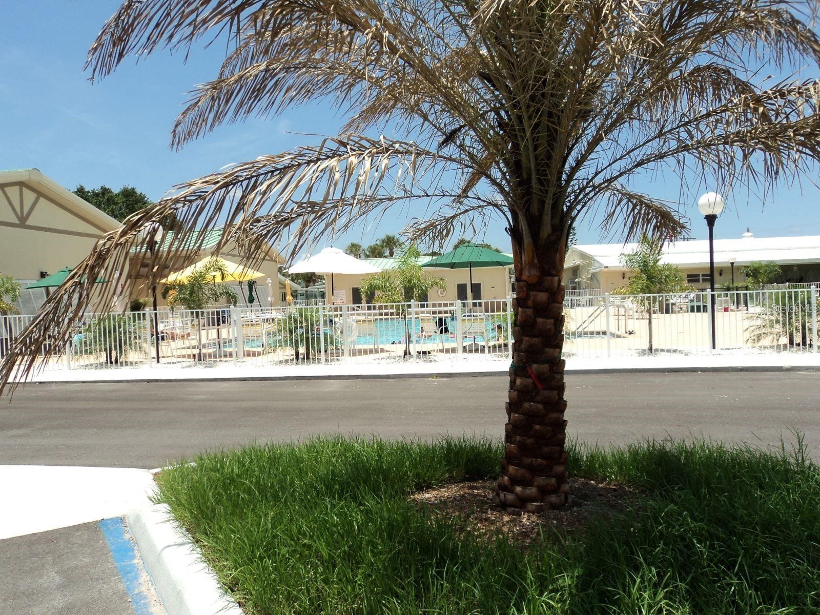 805 S Green Circle Venice FL 34285 N6142592 image19