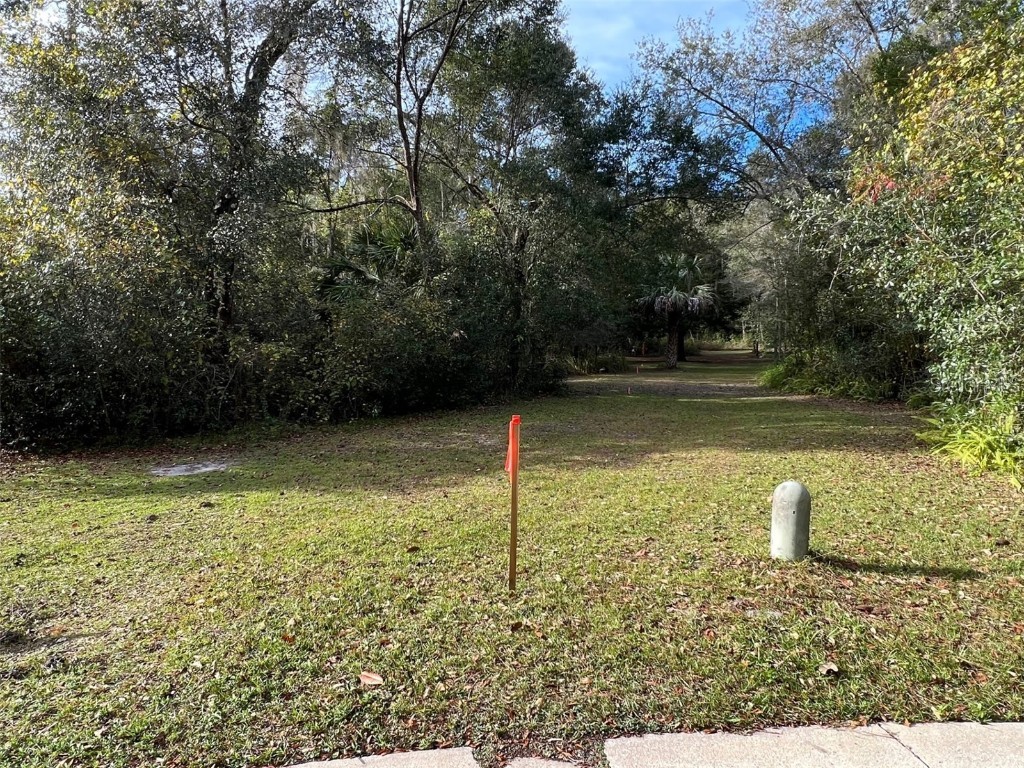 805 Shady Branch Trail Deland FL 32724 V4933643 image1