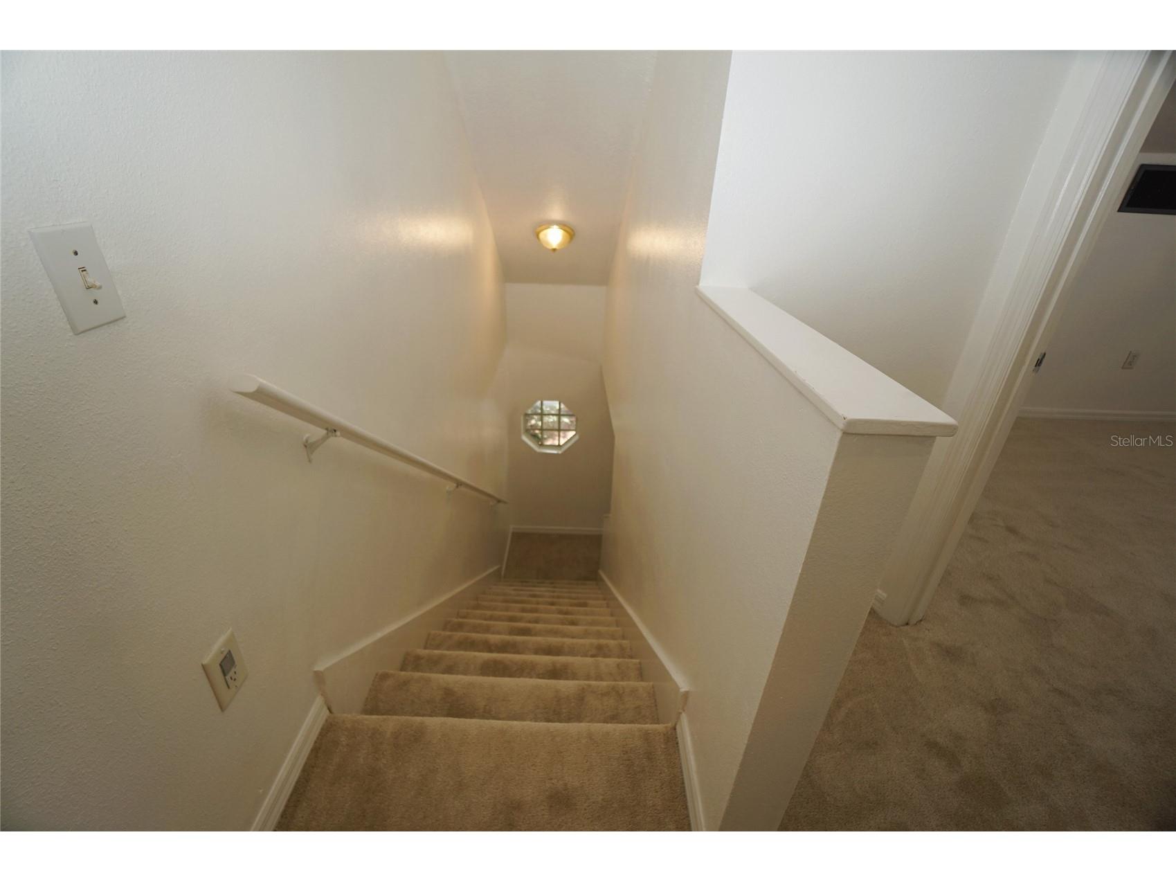 805 W 113th Avenue Tampa FL 33612 TB8515444 image27