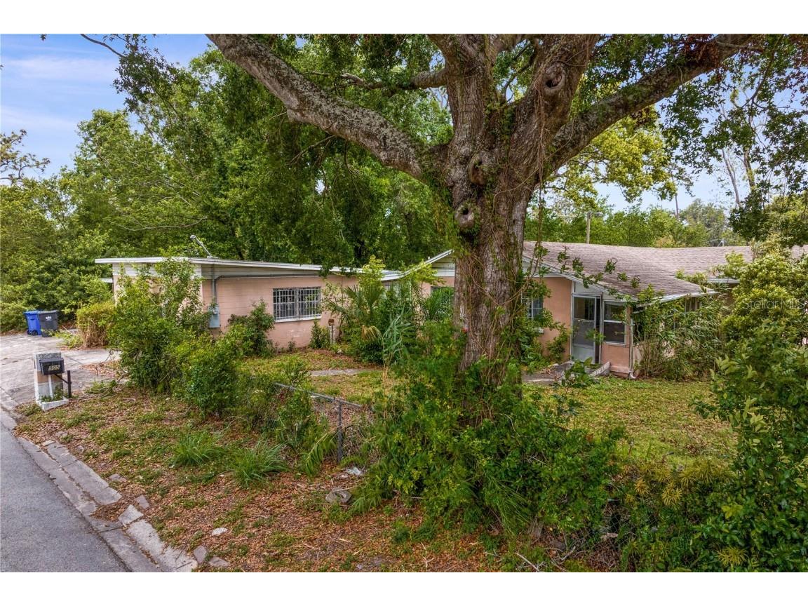 805 W 129th Avenue Tampa FL 33612 TB8431090 image1