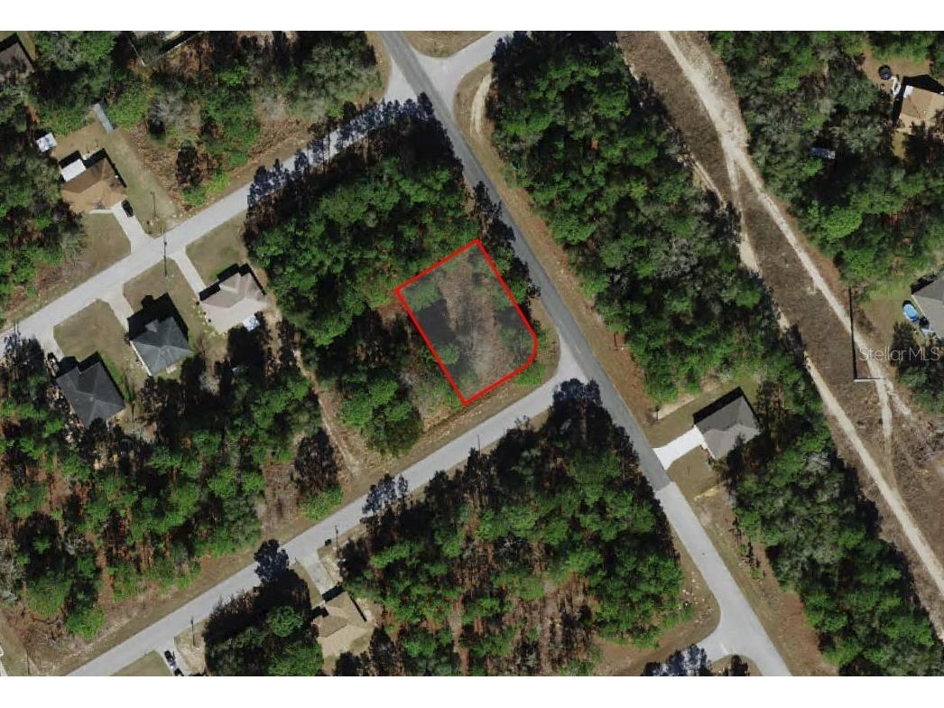 805 W Smallman Place Citrus Springs FL 34434 A4686204 image1