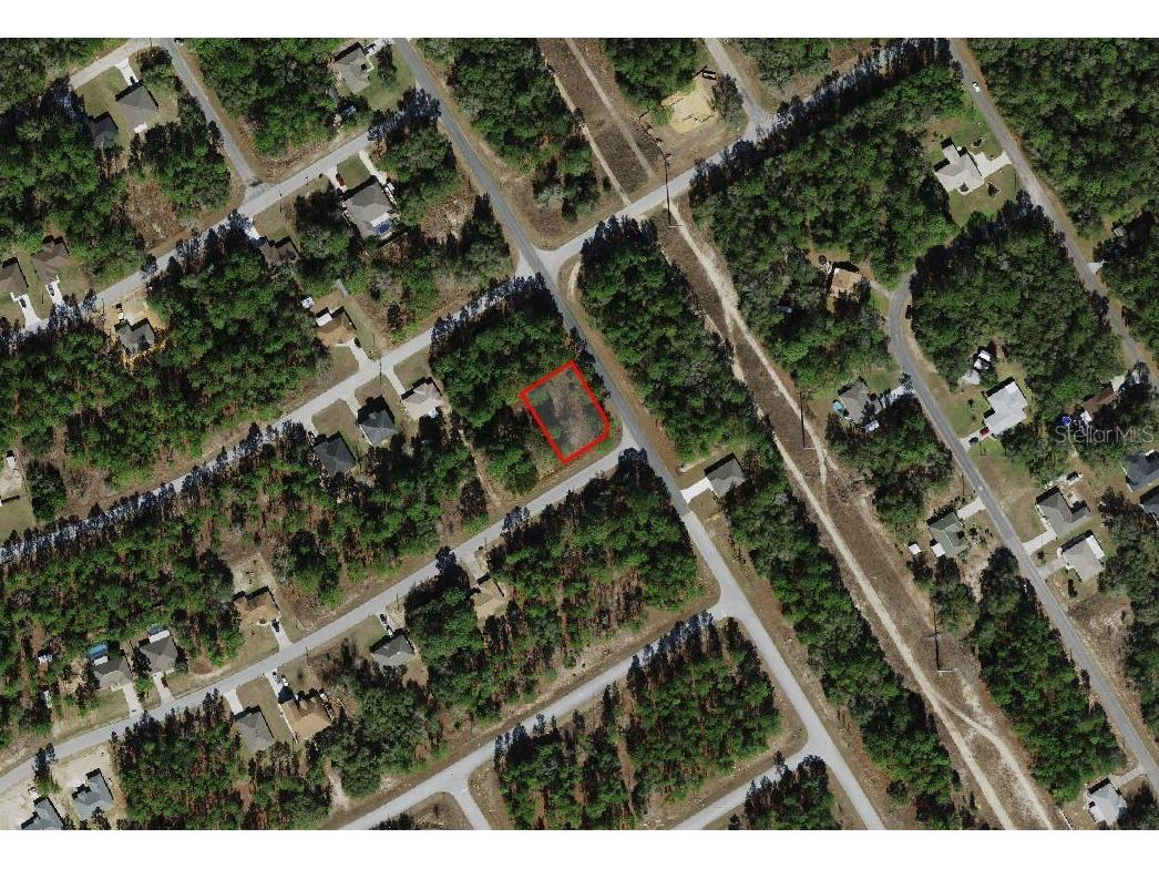 805 W Smallman Place Citrus Springs FL 34434 A4686204 image2