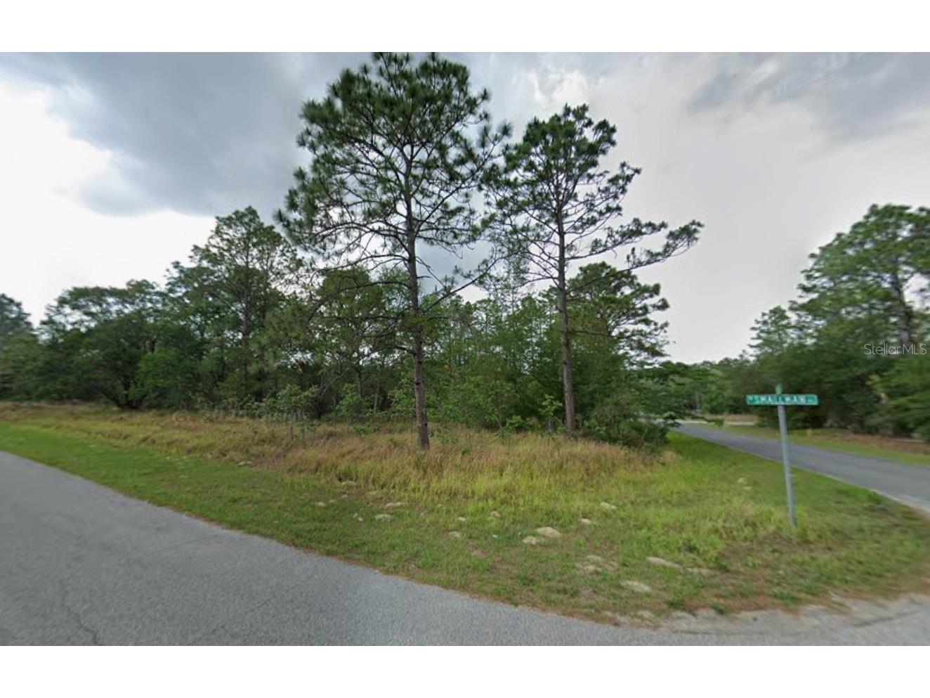 805 W Smallman Place Citrus Springs FL 34434 A4686204 image3