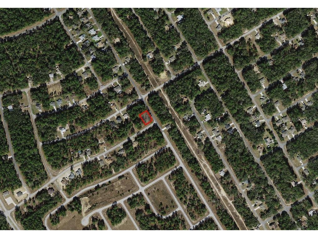 805 W Smallman Place Citrus Springs FL 34434 A4686204 image4