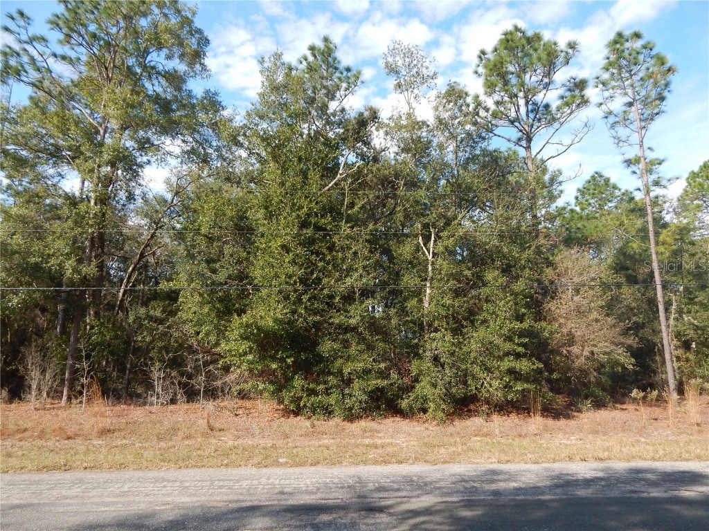 8050 N Oberon Terrace Citrus Springs FL 34434 G5065066 image1