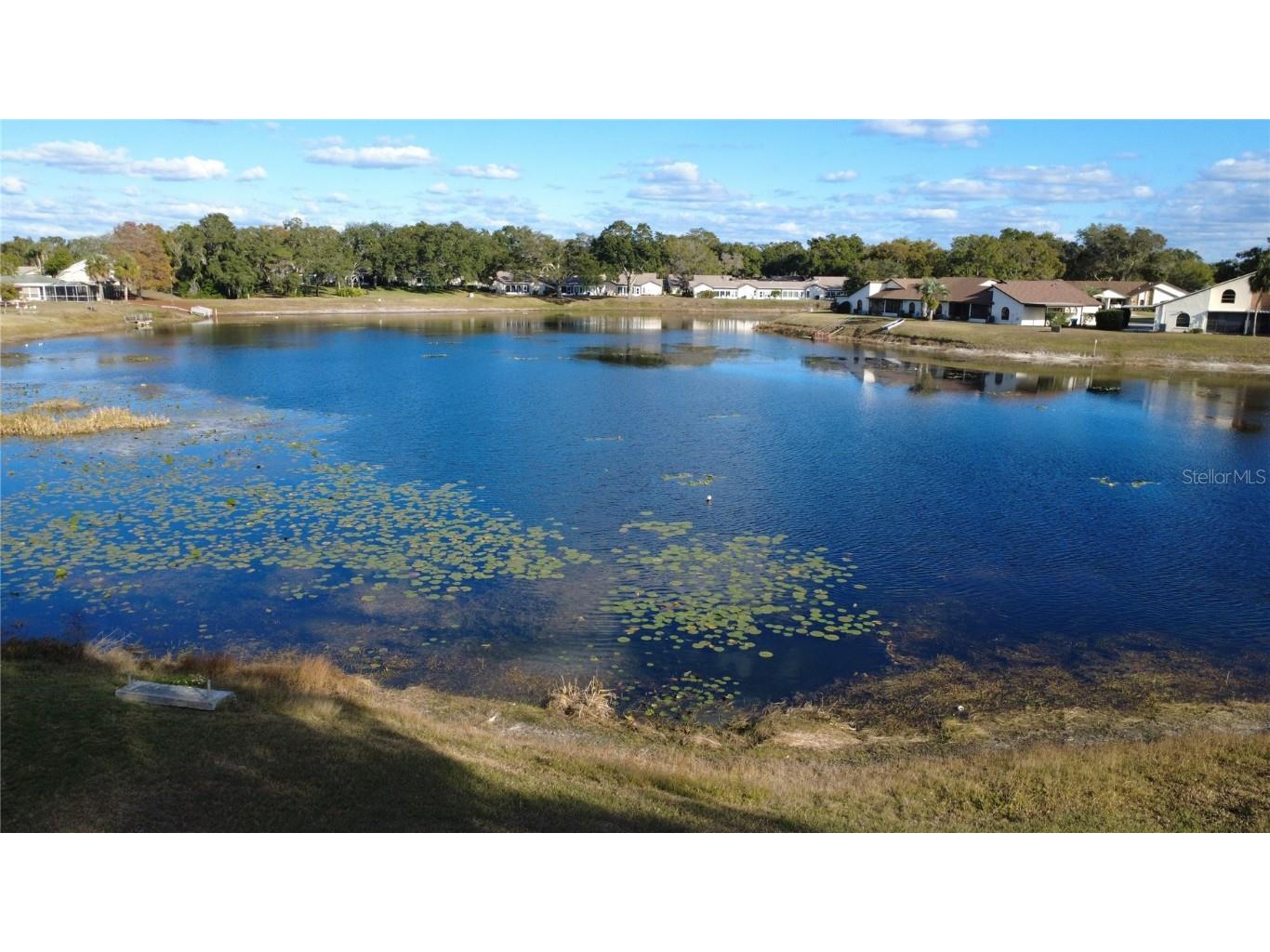 8050 Roxburgh Court Weeki Wachee FL 34613 OM714667 image32