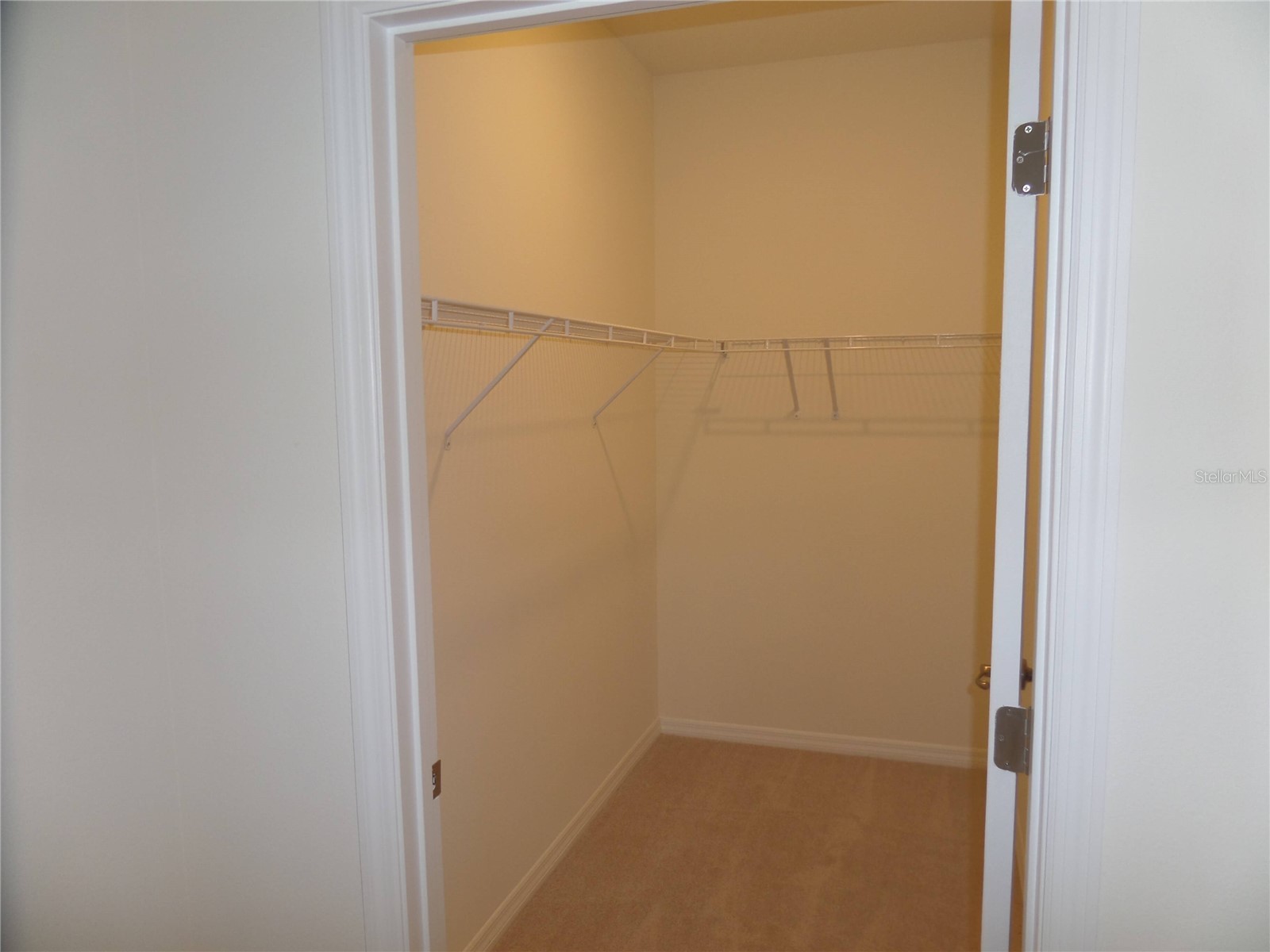 8051 Penrose Place Wildwood FL 34785 O6417773 image16