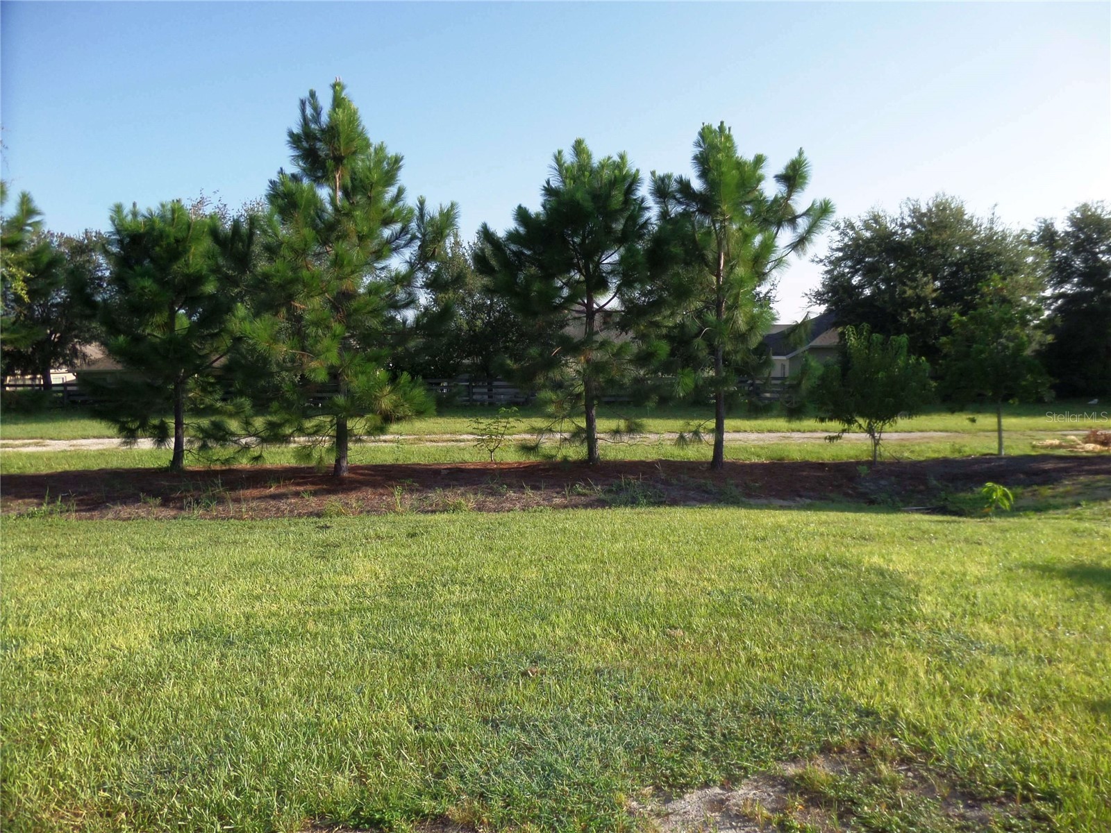 8051 Penrose Place Wildwood FL 34785 O6417773 image21
