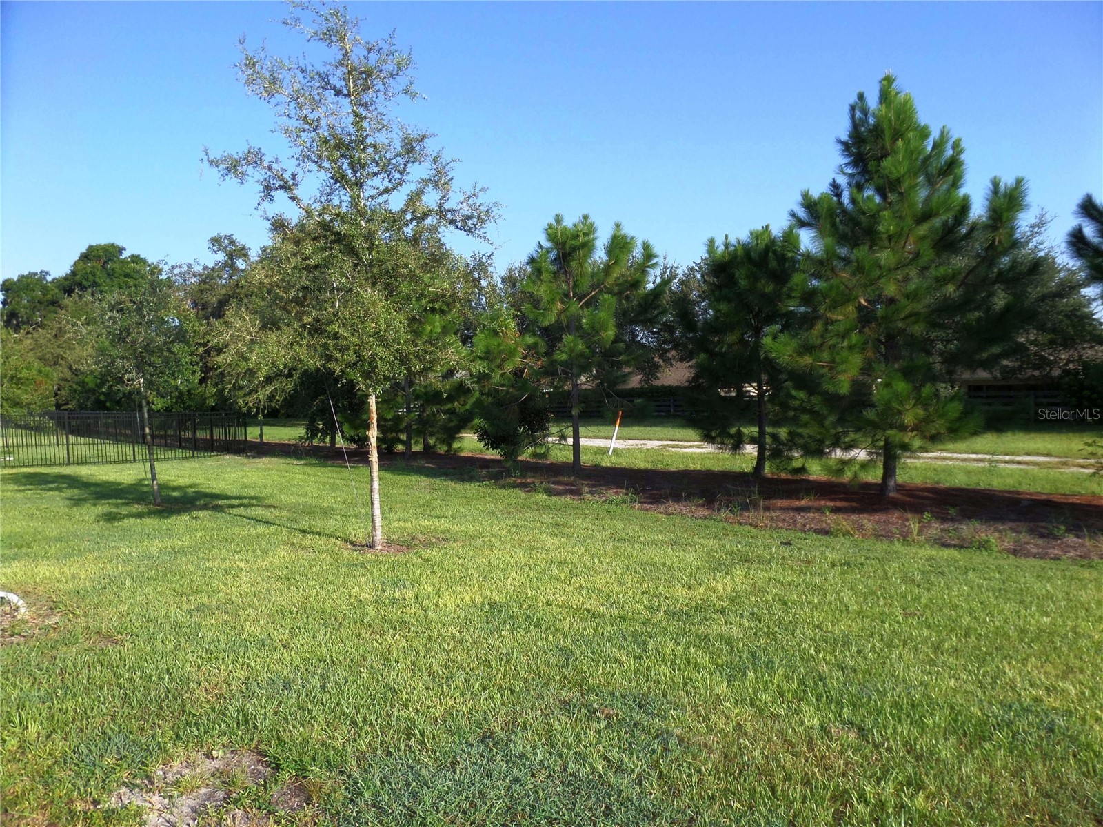 8051 Penrose Place Wildwood FL 34785 O6417773 image22
