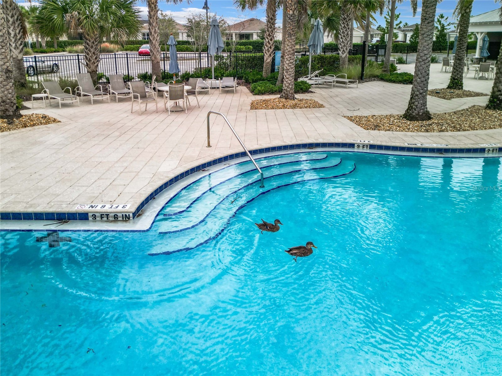 8051 Penrose Place Wildwood FL 34785 O6417773 image46