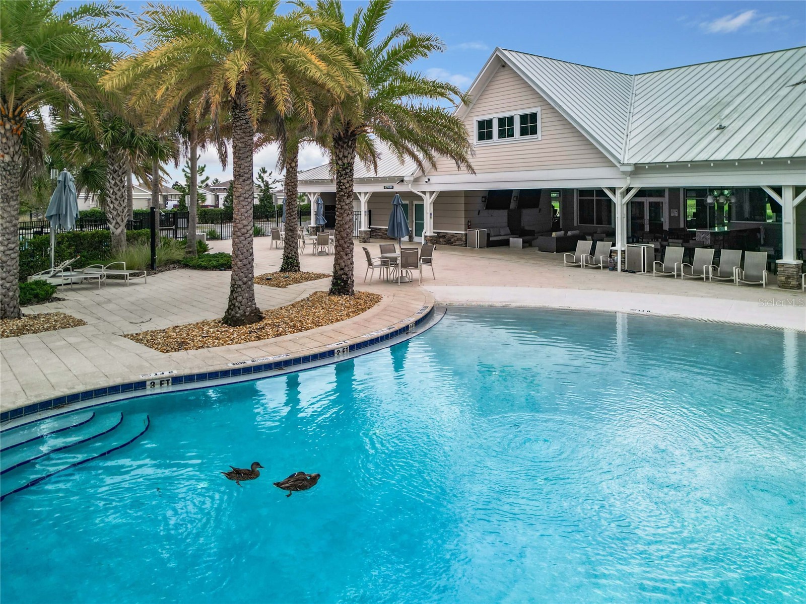 8051 Penrose Place Wildwood FL 34785 O6417773 image47