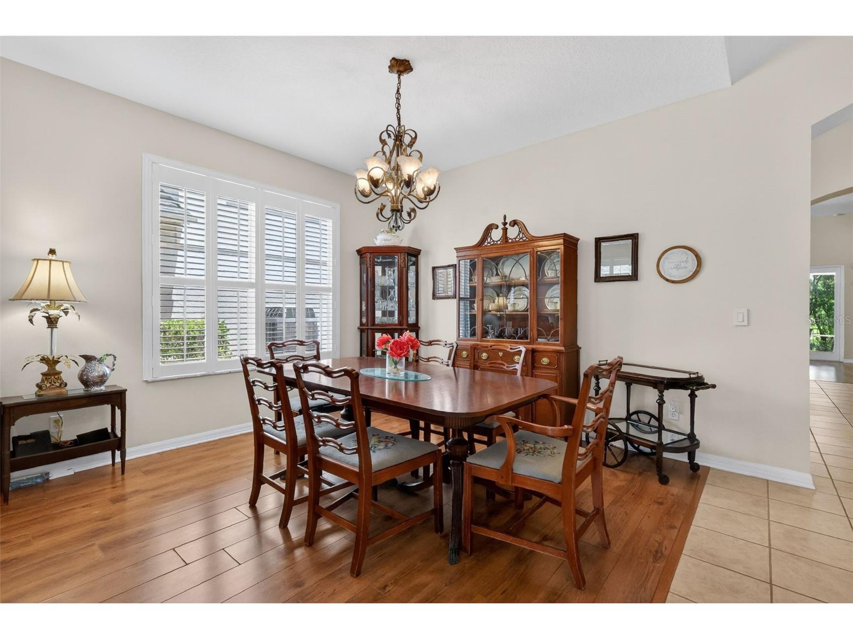 8051 Saint James Way Mount Dora FL 32757 G5113360 image12