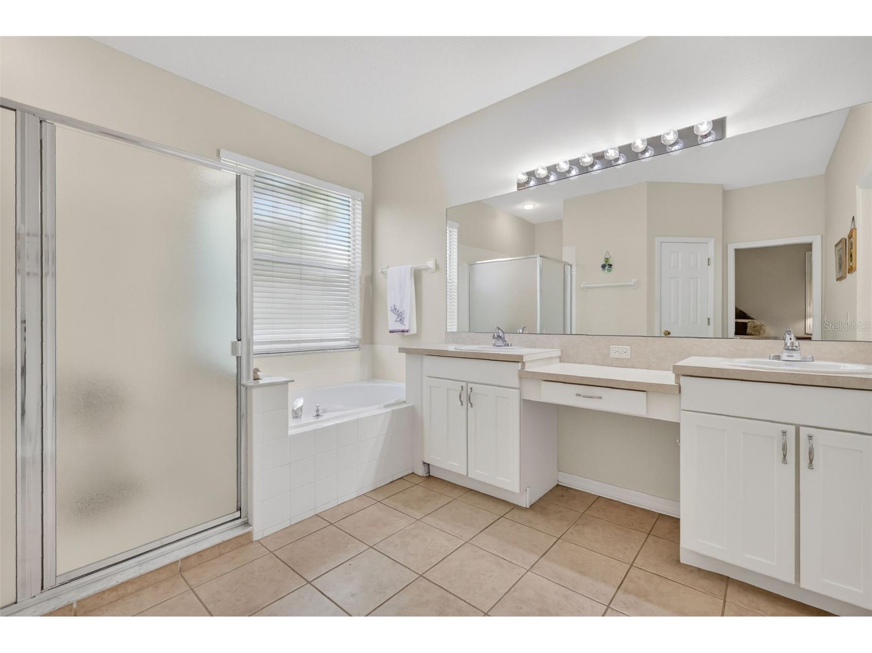 8051 Saint James Way Mount Dora FL 32757 G5113360 image25