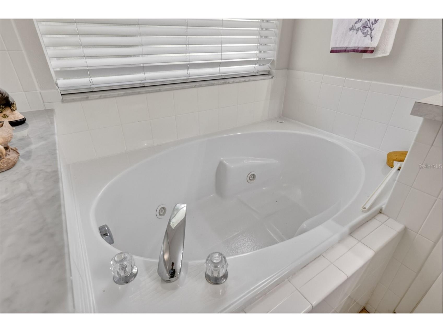 8051 Saint James Way Mount Dora FL 32757 G5113360 image26