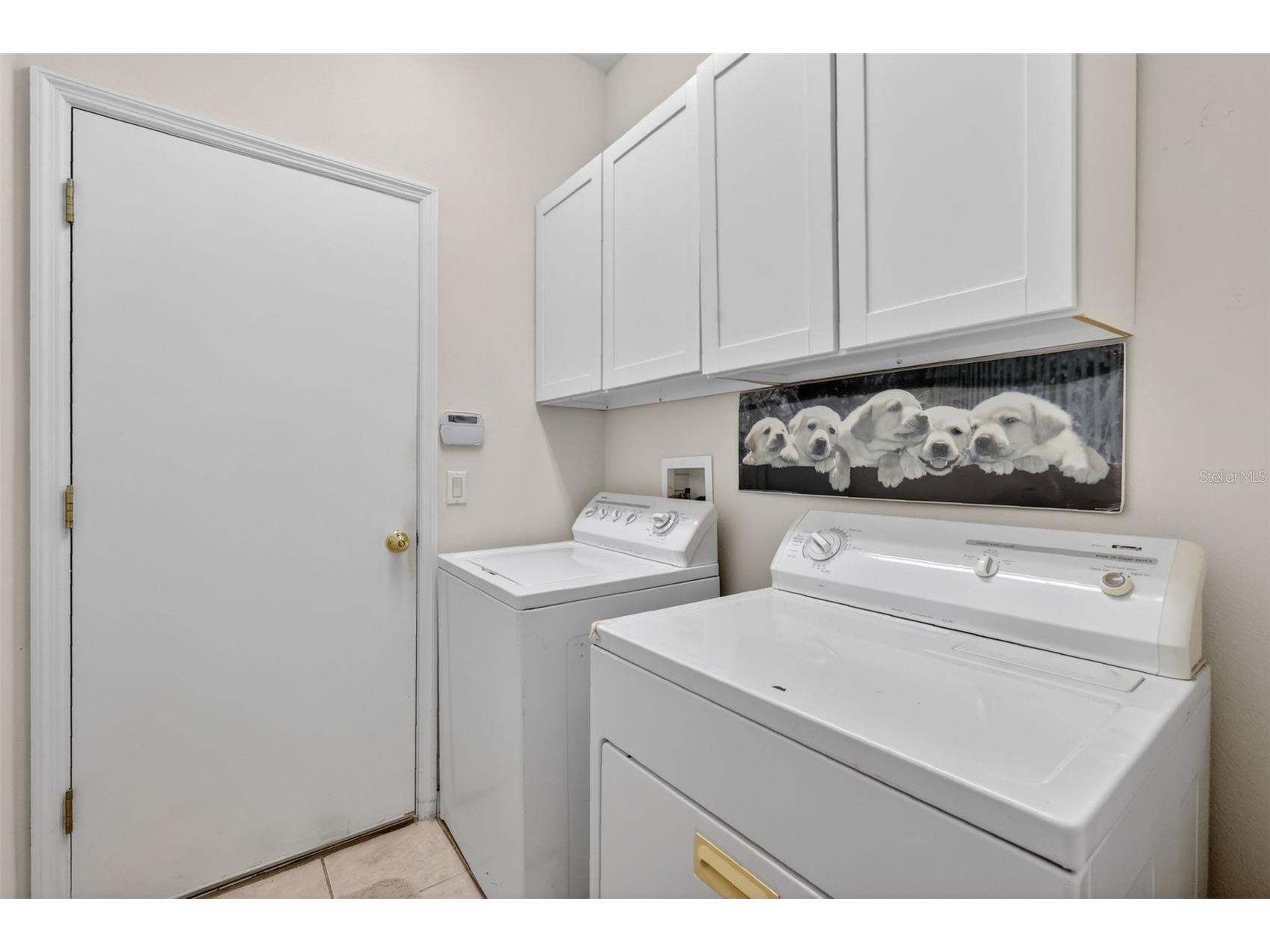 8051 Saint James Way Mount Dora FL 32757 G5113360 image35