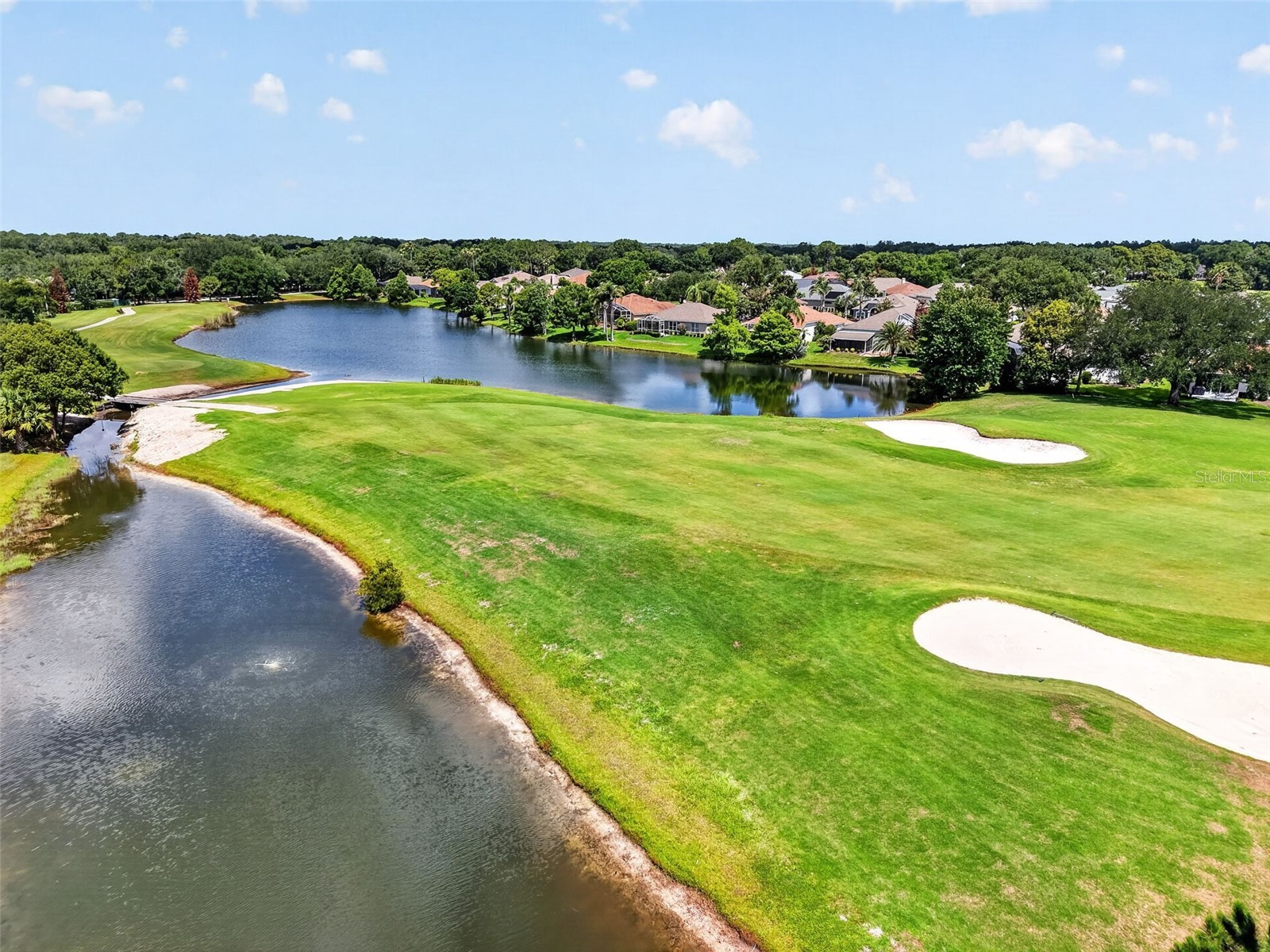 8051 Saint James Way Mount Dora FL 32757 G5113360 image42