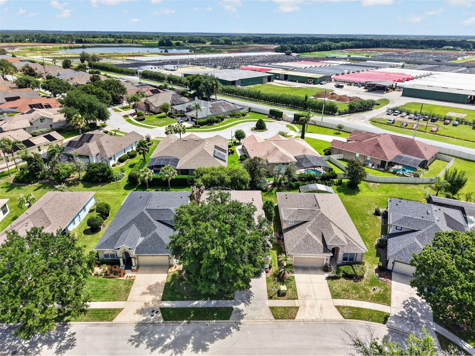 8051 Saint James Way Mount Dora FL 32757 G5113360 image6
