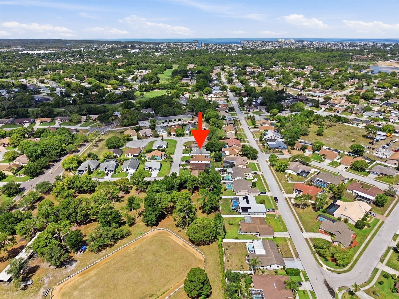 8051 Thatch Terrace Hudson FL 34667 TB8508882 image31