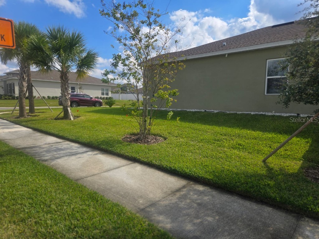 8052 Greenway Avenue Wesley Chapel FL 33544 TB8452546 image6