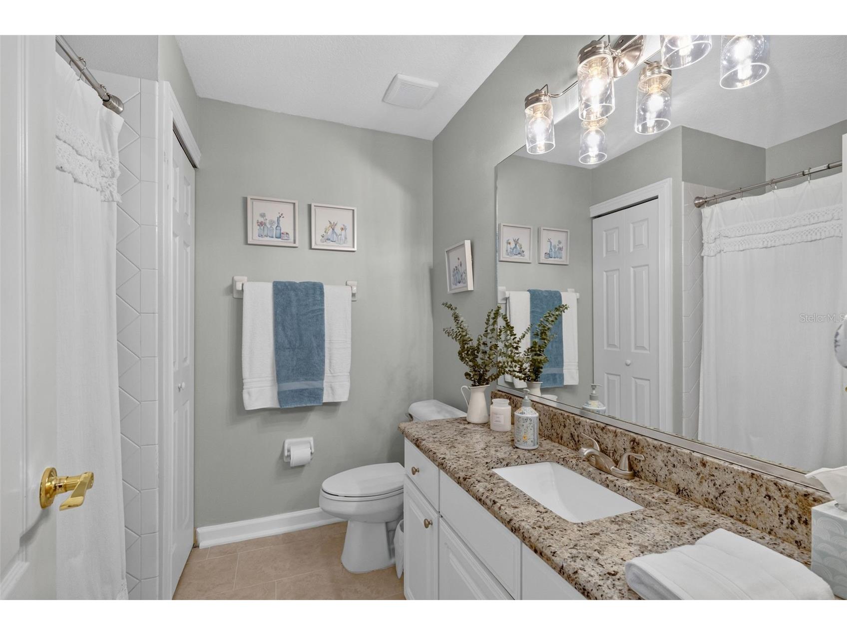 8052 Laurel Ridge Drive Mount Dora FL 32757 O6421030 image22