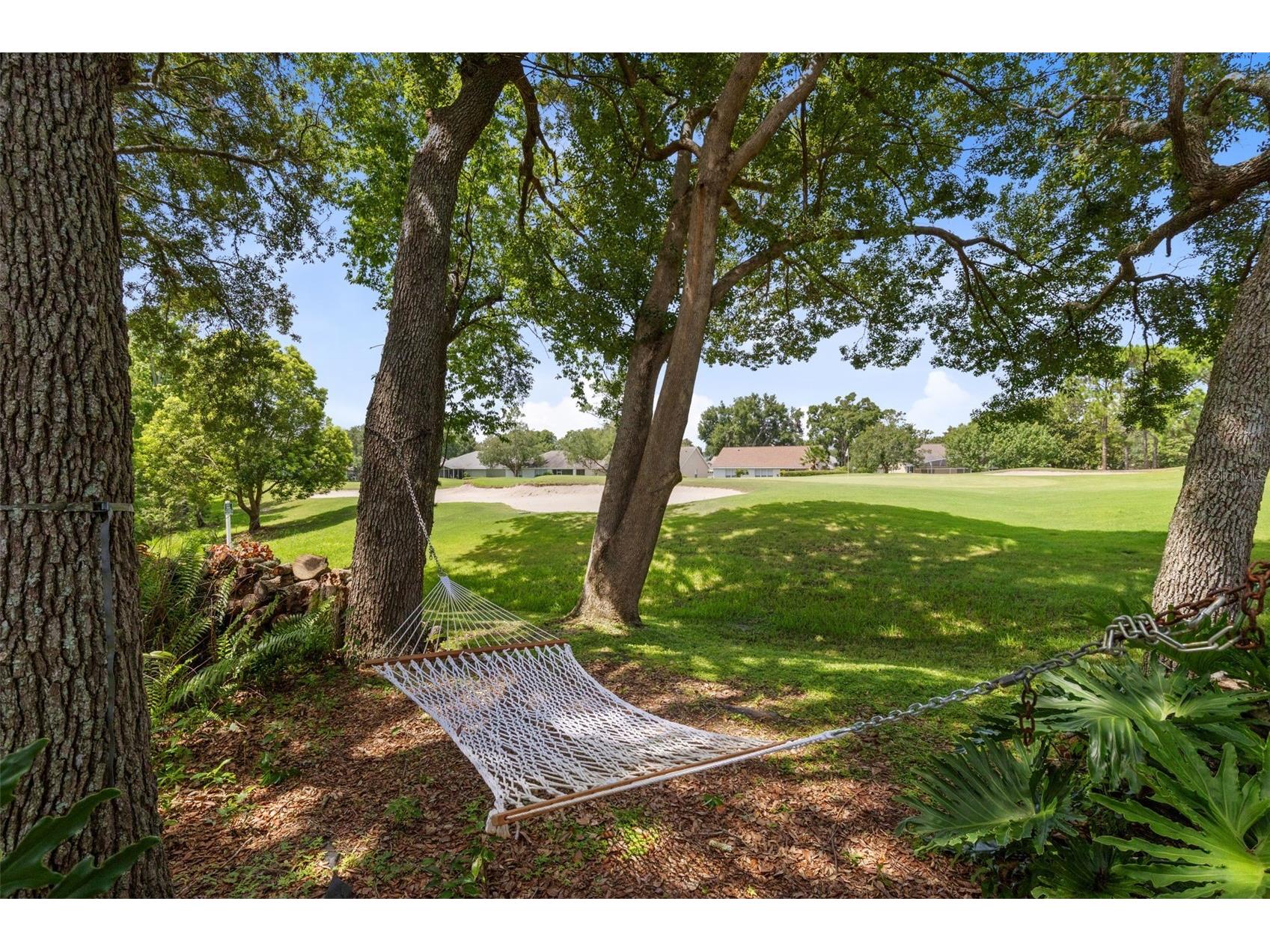 8052 Laurel Ridge Drive Mount Dora FL 32757 O6421030 image36