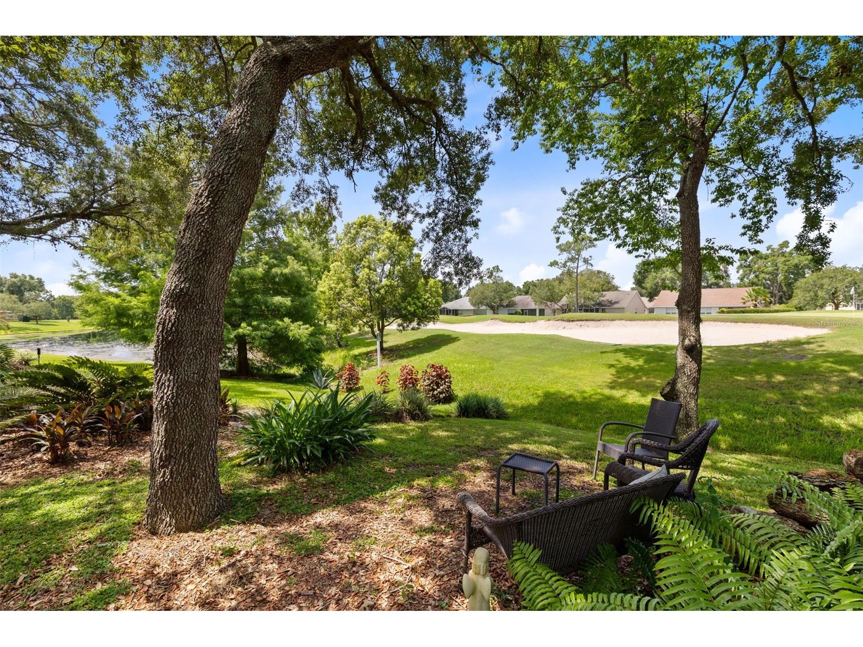8052 Laurel Ridge Drive Mount Dora FL 32757 O6421030 image37