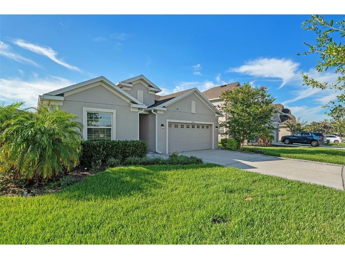 8052 Olive Brook Drive Wesley Chapel FL 33545 T3538731 image1