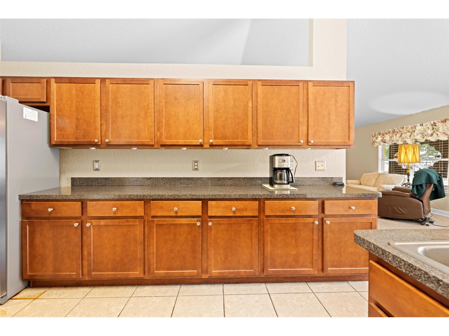 8053 Timberlake Avenue Spring Hill FL 34606 TB8521386 image31