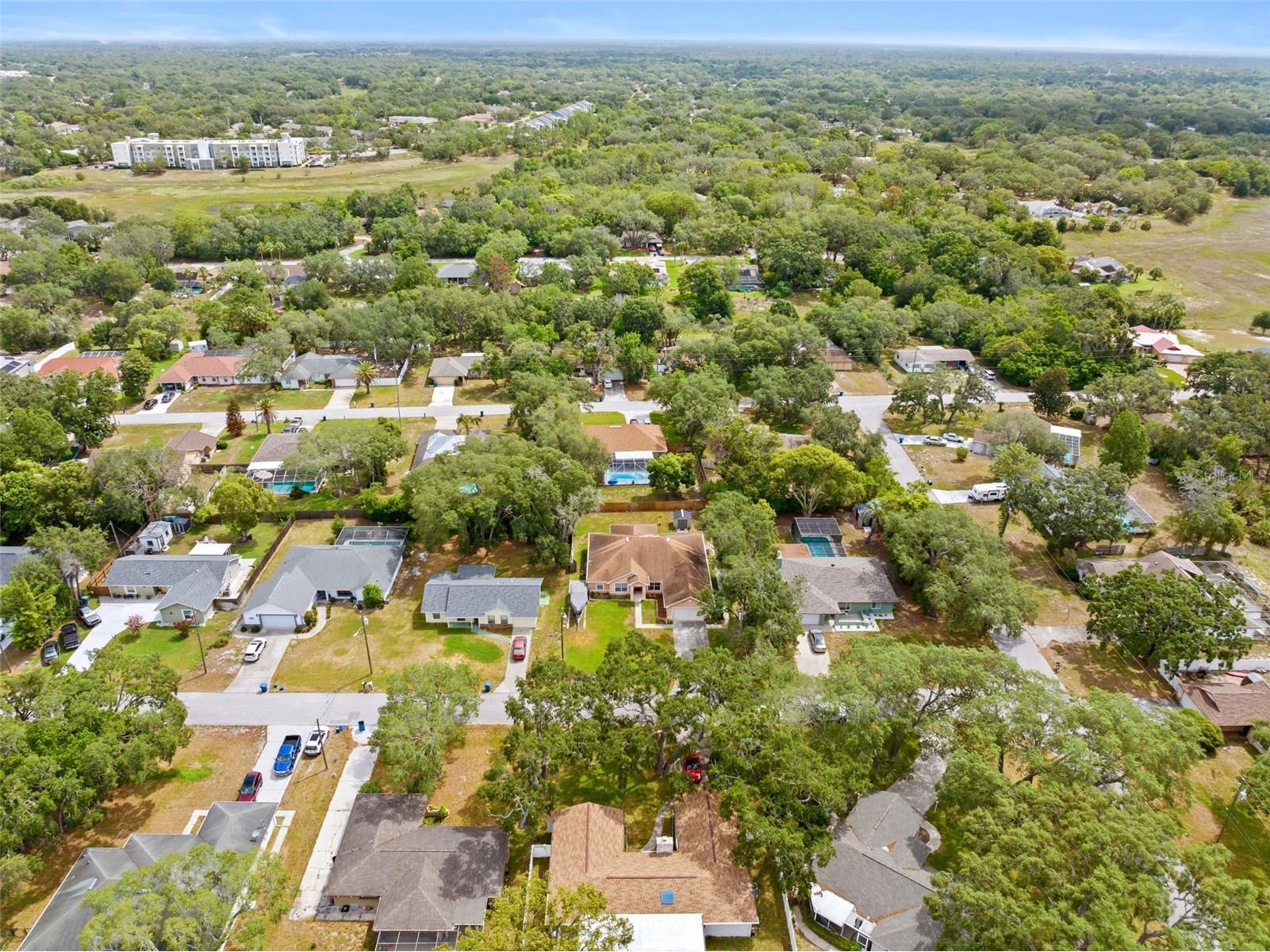8053 Timberlake Avenue Spring Hill FL 34606 TB8521386 image4