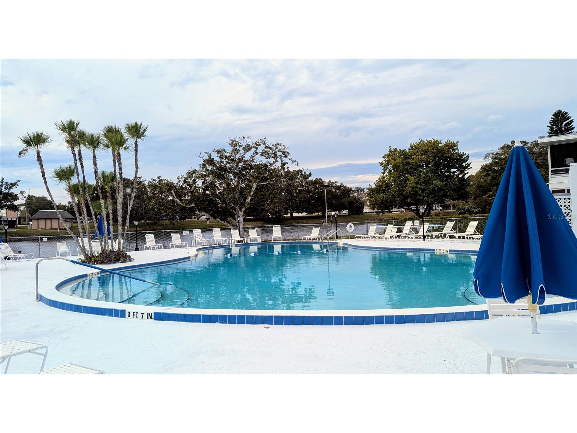 8055 112th Street #403 Seminole FL 33772 TB8468707 image29
