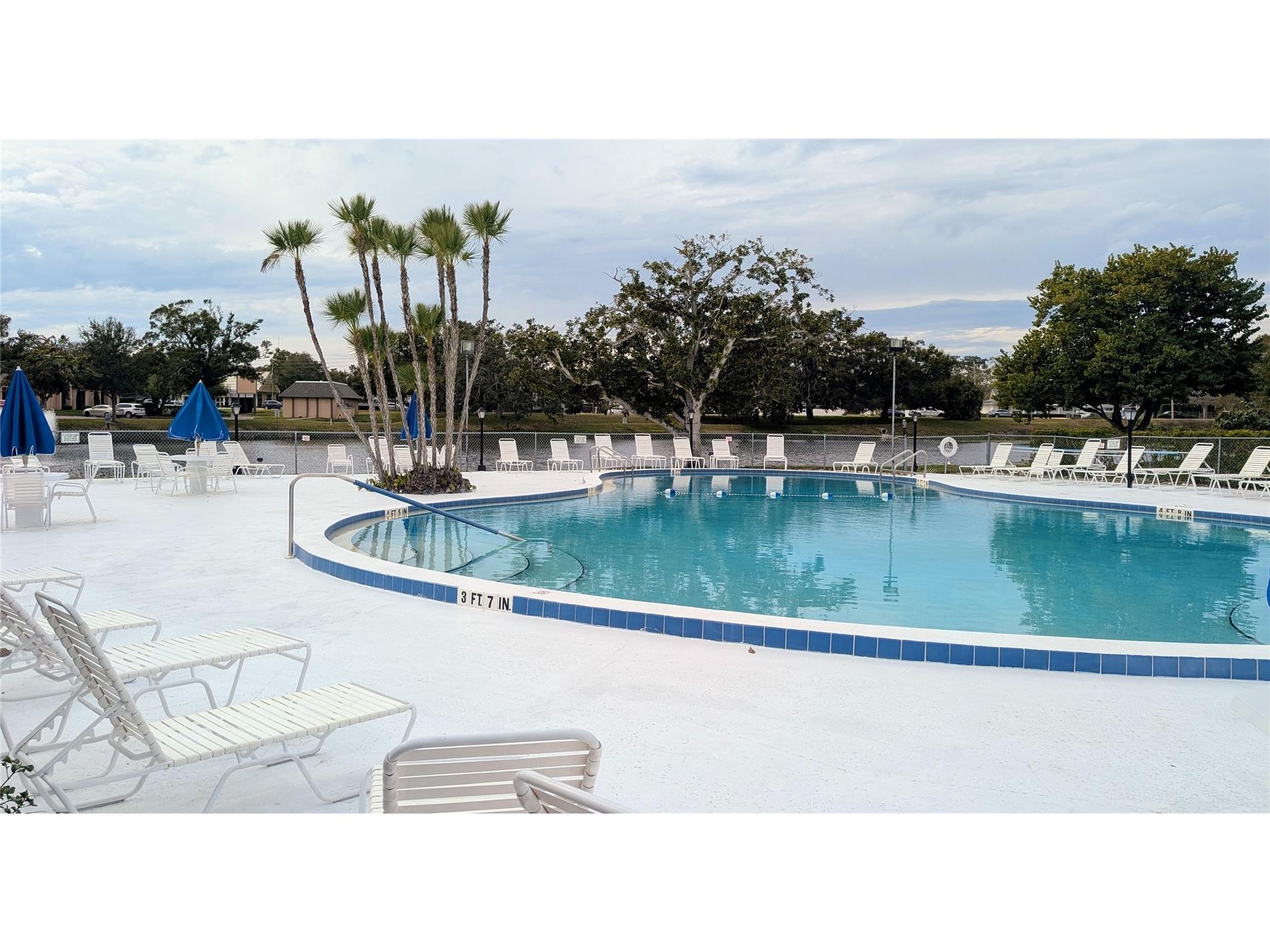 8055 112th Street #403 Seminole FL 33772 TB8468707 image30