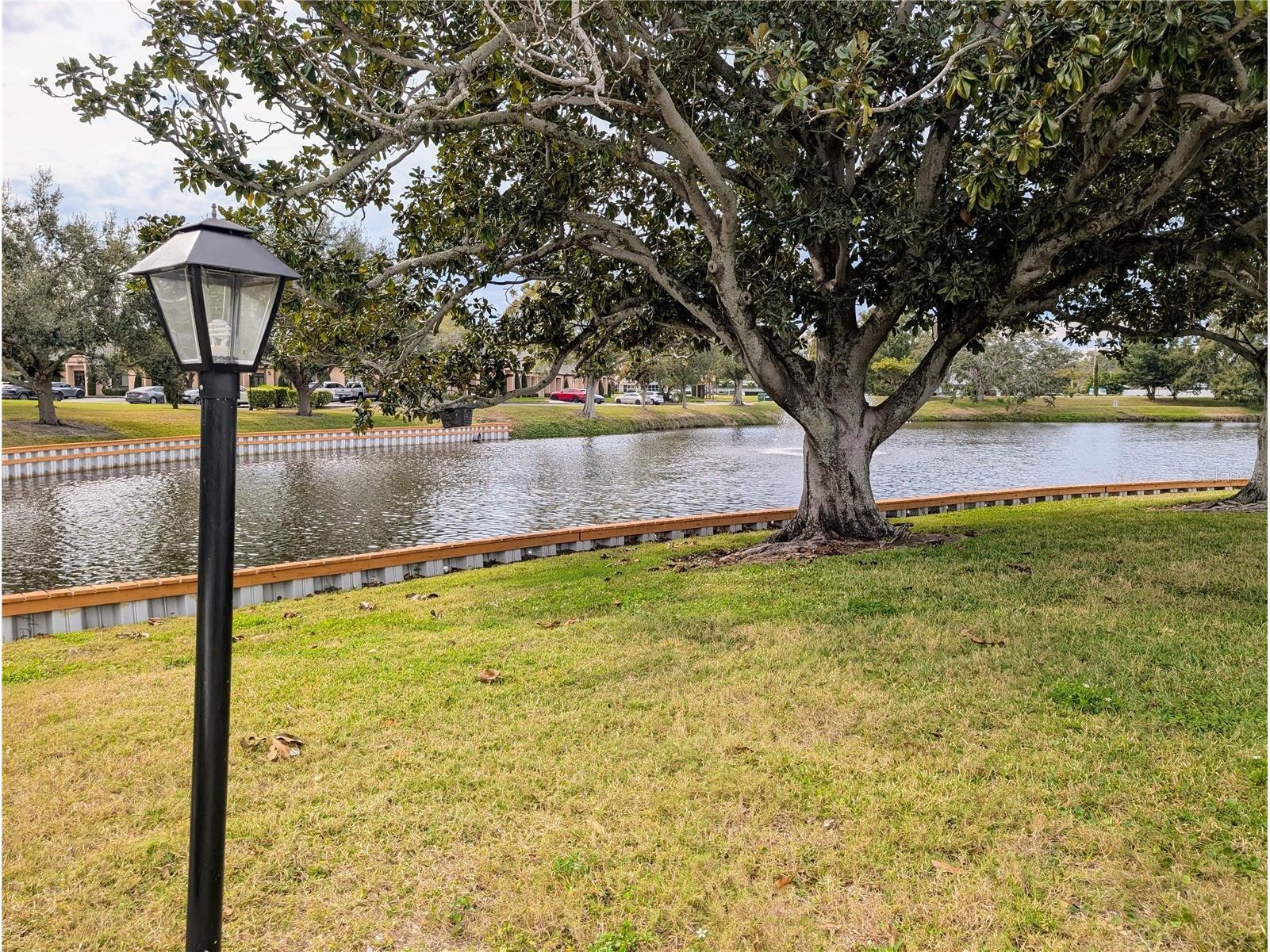8055 112th Street #403 Seminole FL 33772 TB8468707 image31