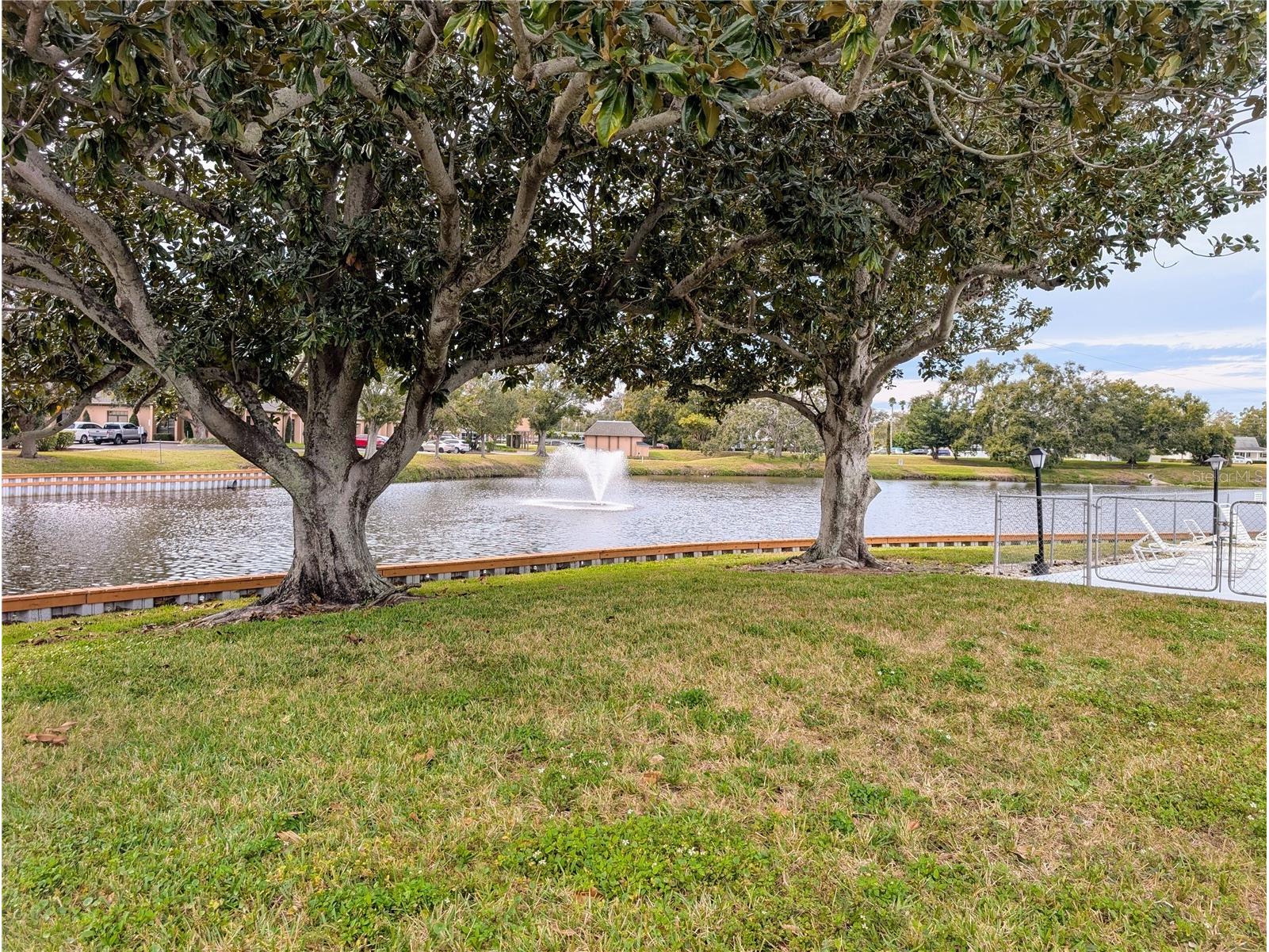 8055 112th Street #403 Seminole FL 33772 TB8468707 image32