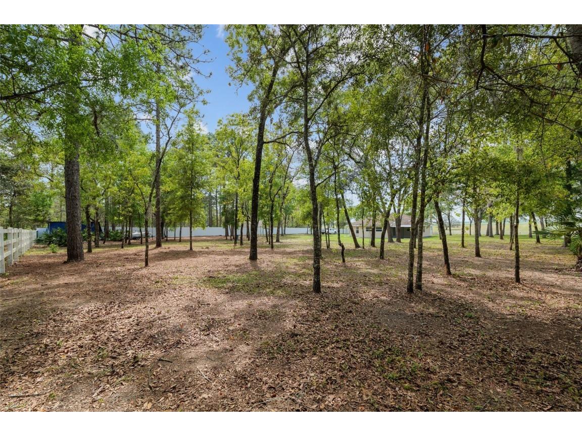 8055 SW 140th Avenue Dunnellon FL 34432 OM698595 image63