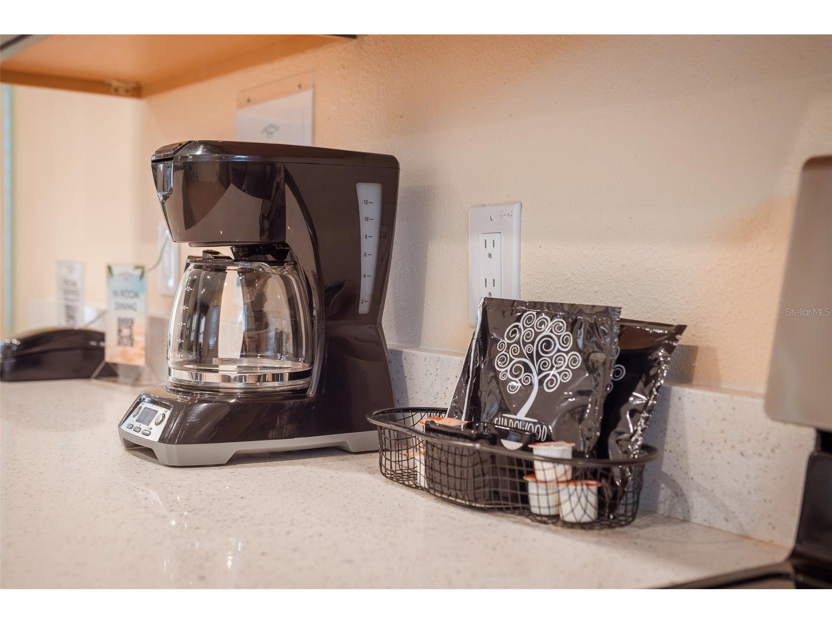 8056 Dreamsicle Drive Kissimmee FL 34747 O6387518 image27