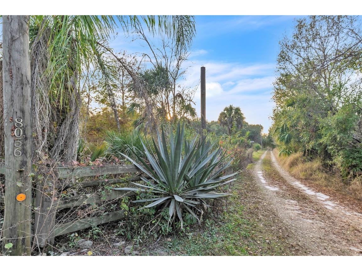 8056 SW Horse Creek Road Arcadia FL 34266 - Horse Creek C7518555 image5