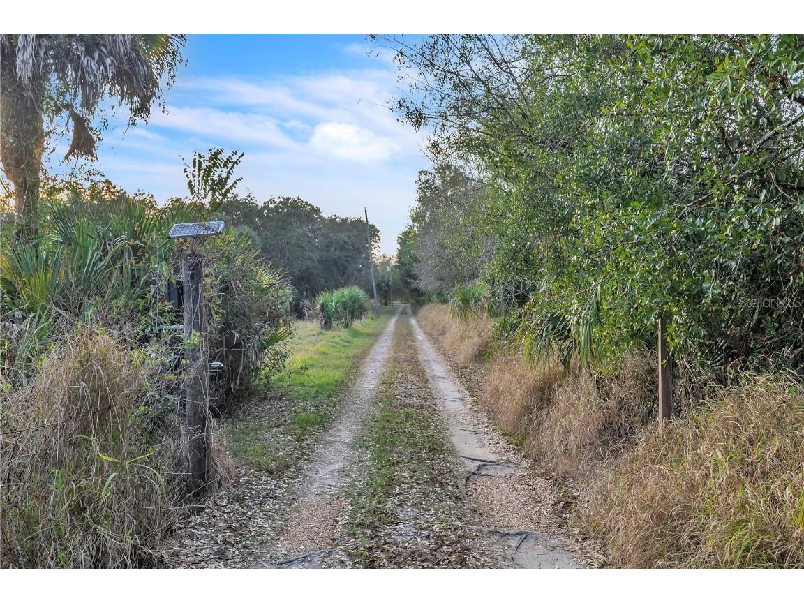 8056 SW Horse Creek Road Arcadia FL 34266 - Horse Creek C7518555 image6