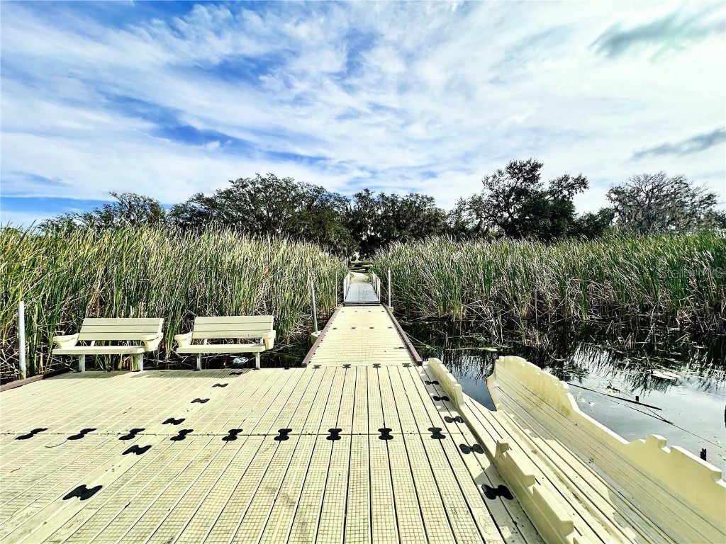 8057 Rolling Shell Trail Wesley Chapel FL 33545 TB8458508 image5