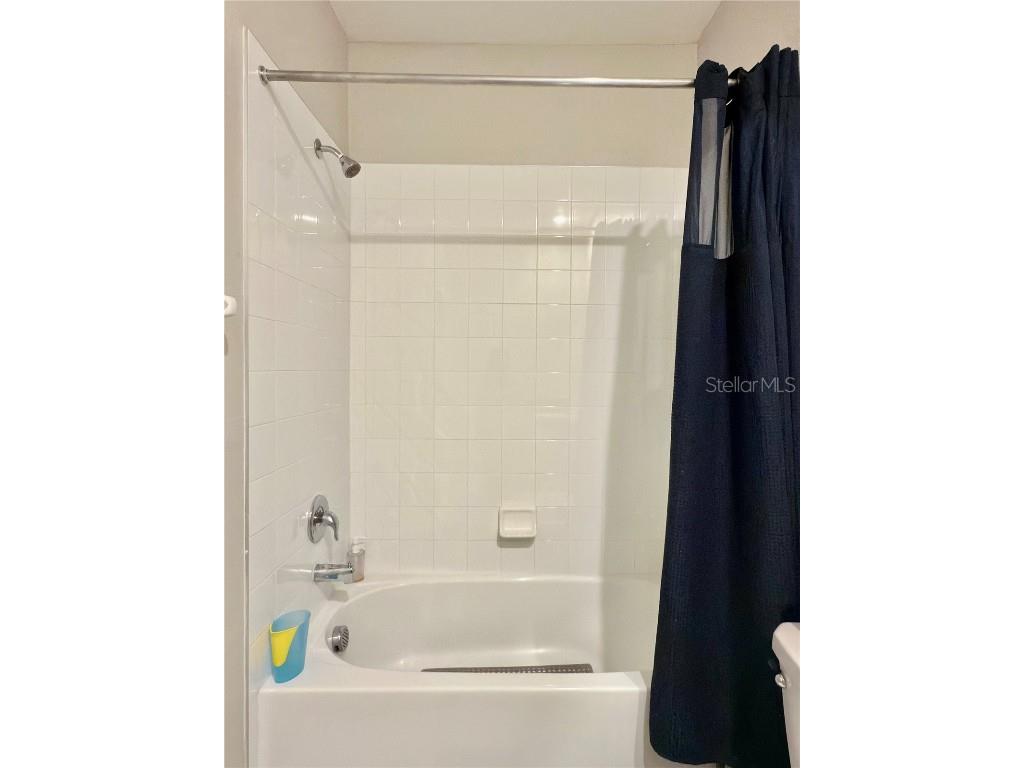 8057 Rolling Shell Trail Wesley Chapel FL 33545 TB8458508 image50