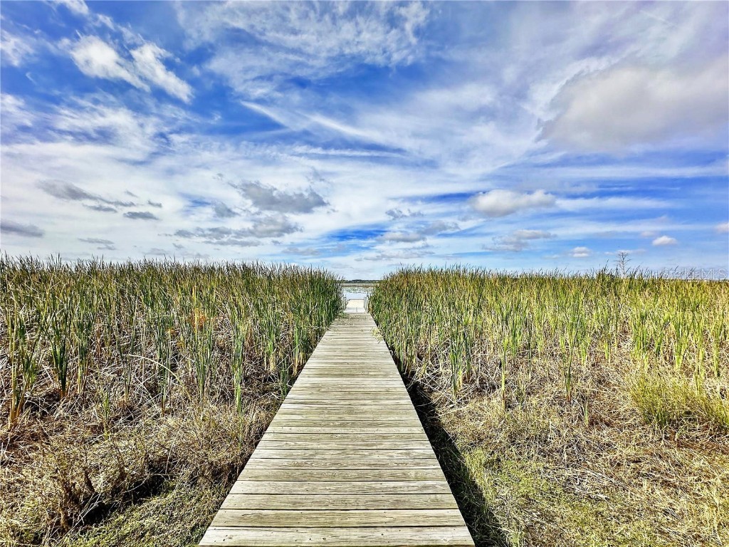 8057 Rolling Shell Trail Wesley Chapel FL 33545 TB8458508 image84