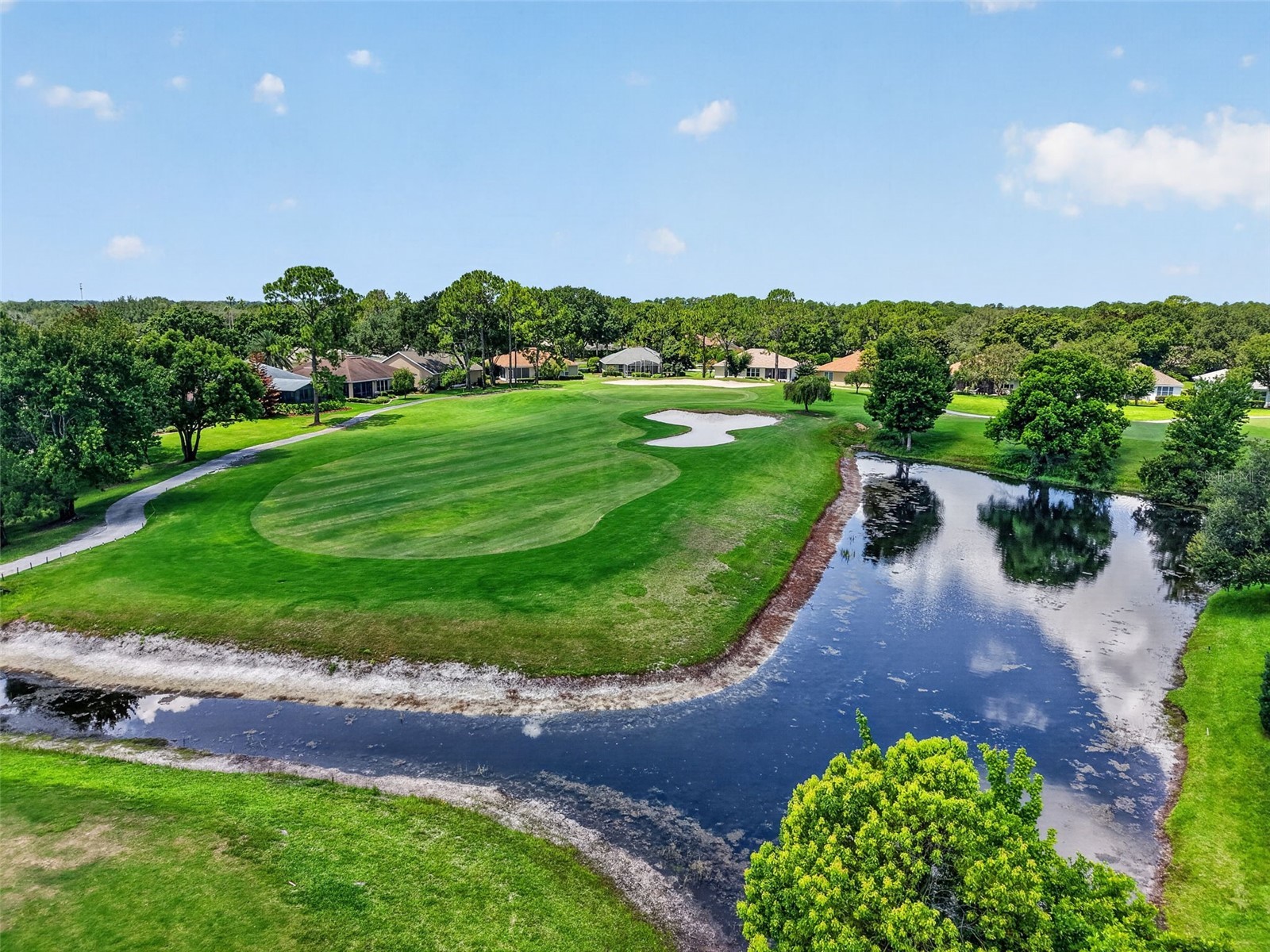8059 Laurel Ridge Drive Mount Dora FL 32757 G5114769 image41
