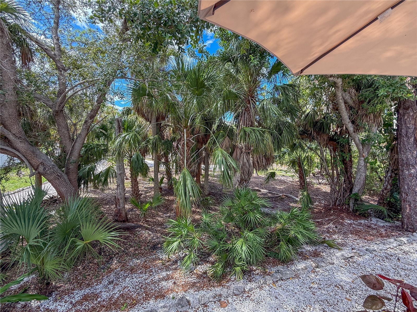 806 Bayport Way #806 Longboat Key FL 34228 - GULF OF MEXICO & SARASOTA BAY TB8489326 image46