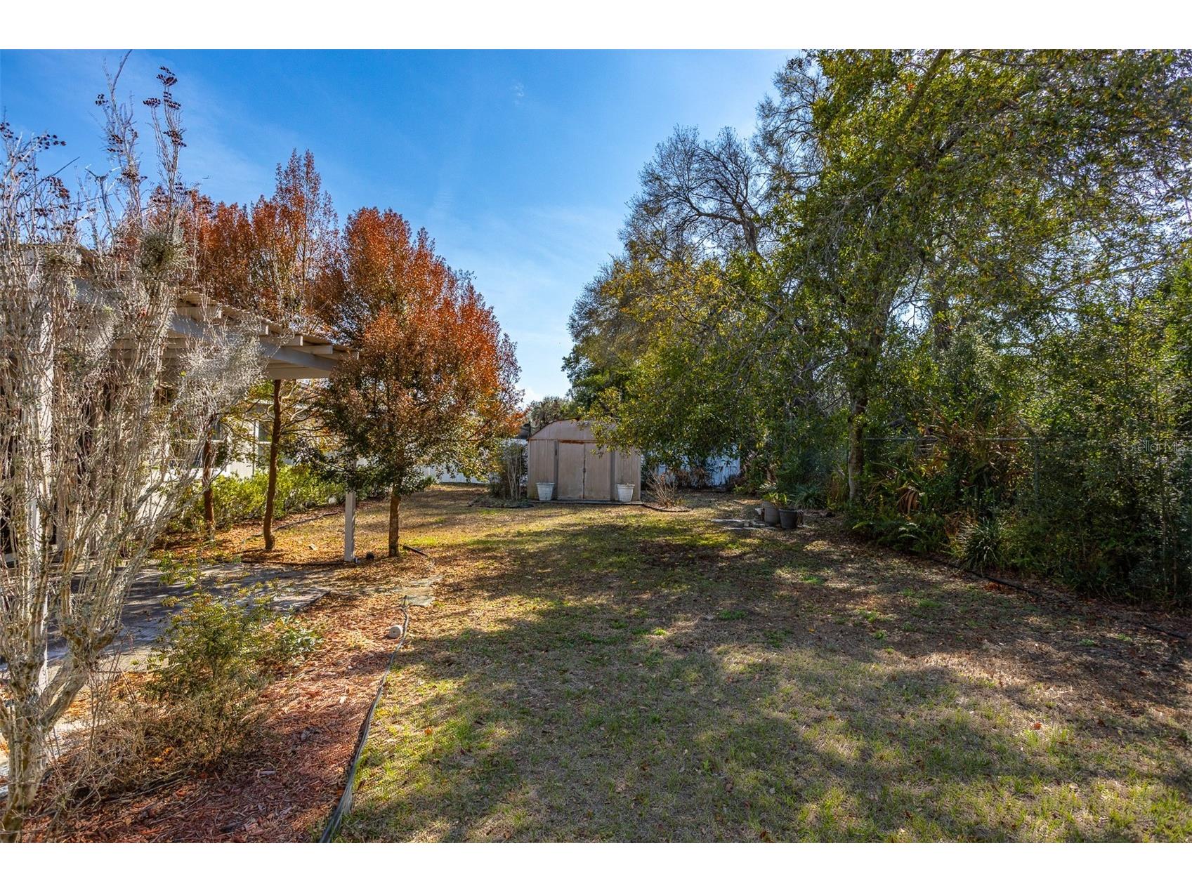 806 Chadsworth Avenue Seffner FL 33584 TB8480579 image35