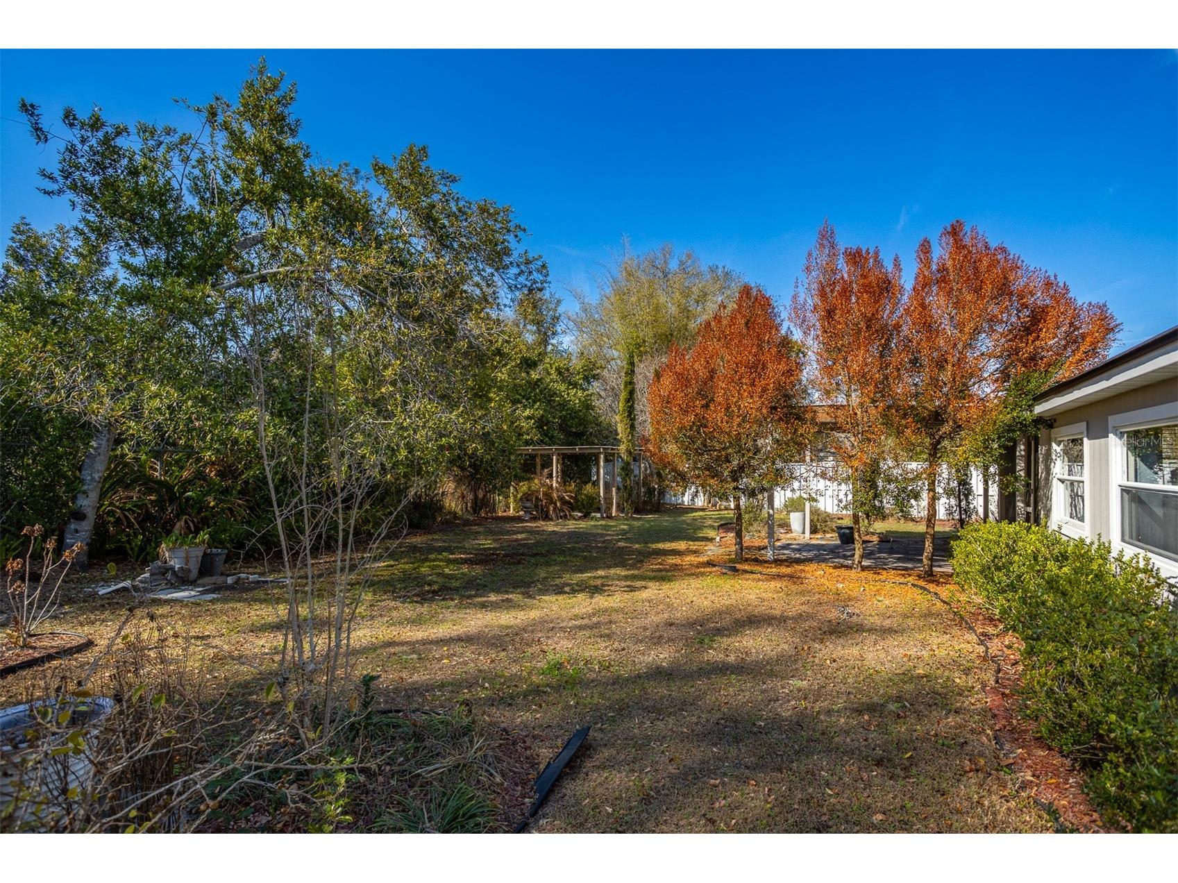 806 Chadsworth Avenue Seffner FL 33584 TB8480579 image37