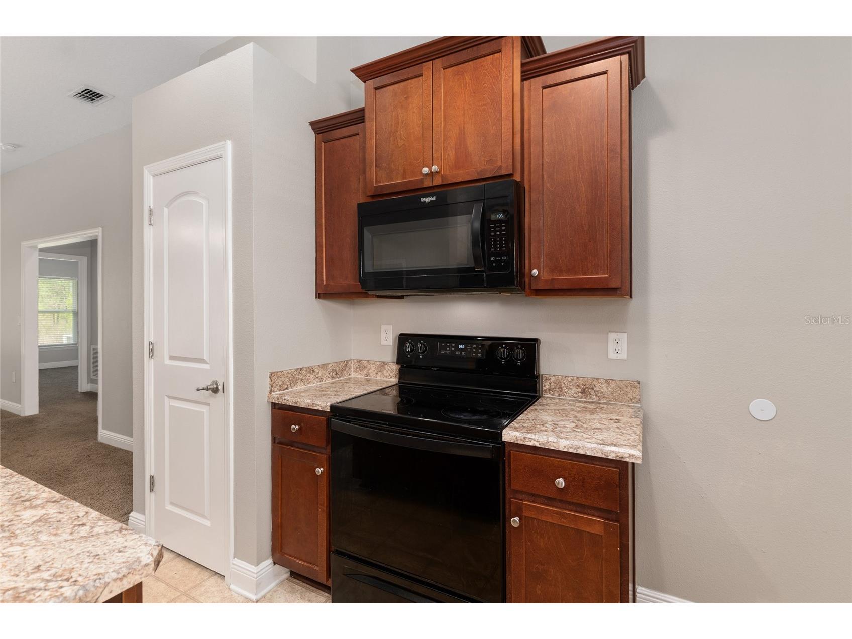 806 Chelsea Avenue Fruitland Park FL 34731 G5109630 image23